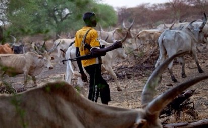 herdsmen attacks