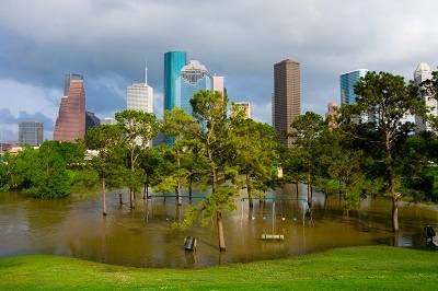 Harvey Sparks Flood Insurance Disaster