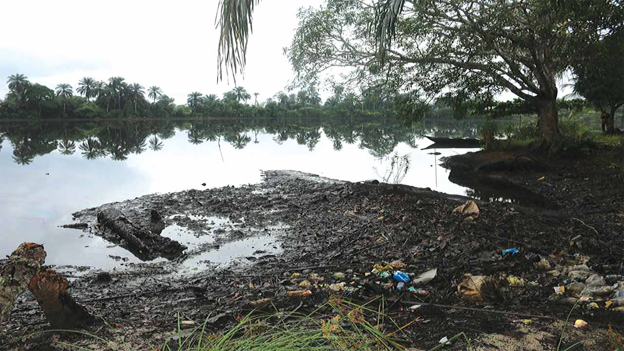 Reps urge government to fast-track Ogoni cleanup