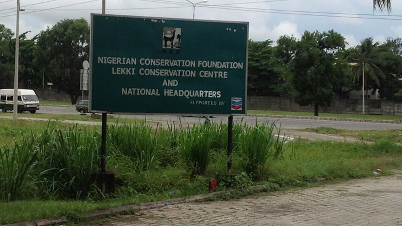 Lagos, NCF seek wetlands conservation, end to exploitation