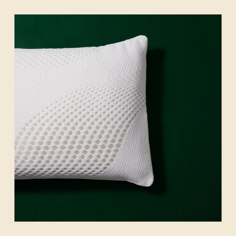 Gg 041 Pillow.jpg