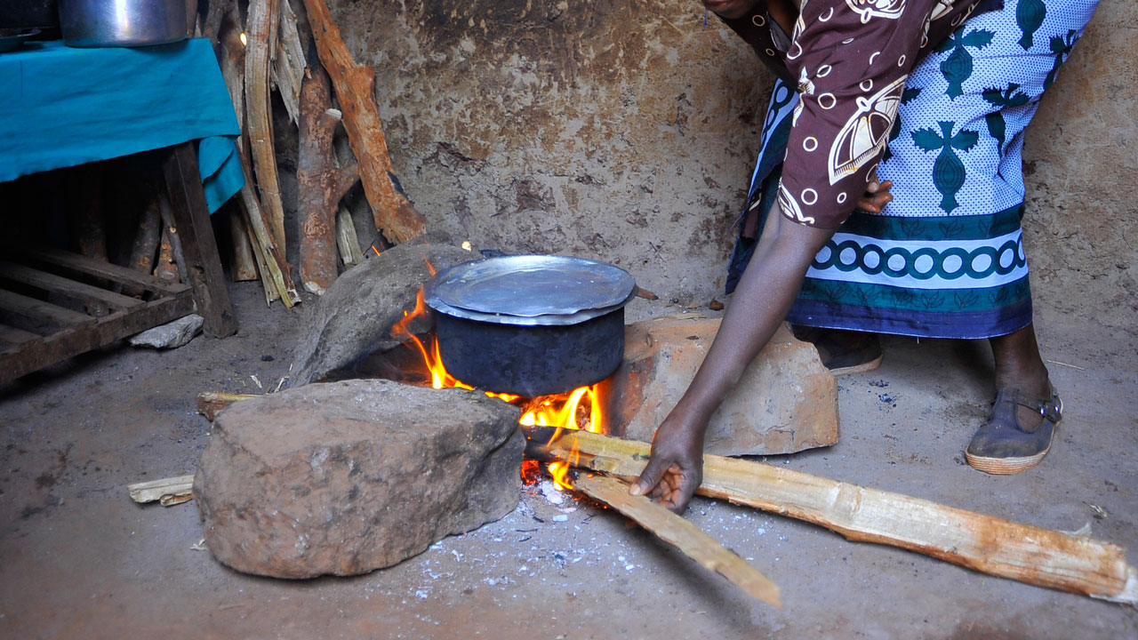 FG, UNDP unfold new plan to reduce fuelwood consumption in Kaduna underway