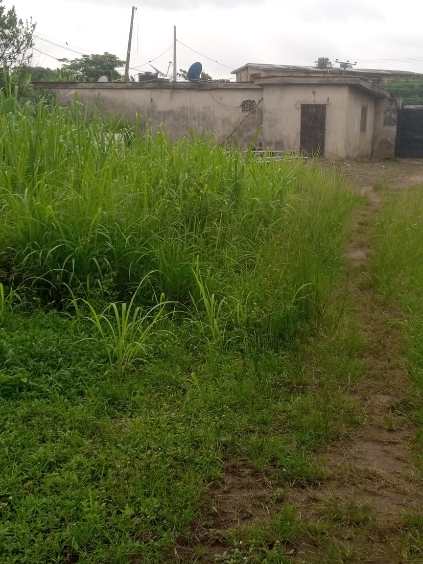 Land For Lease in Ikorodu Lagos Nigeria