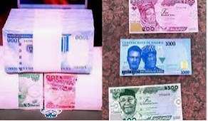 the new naira note