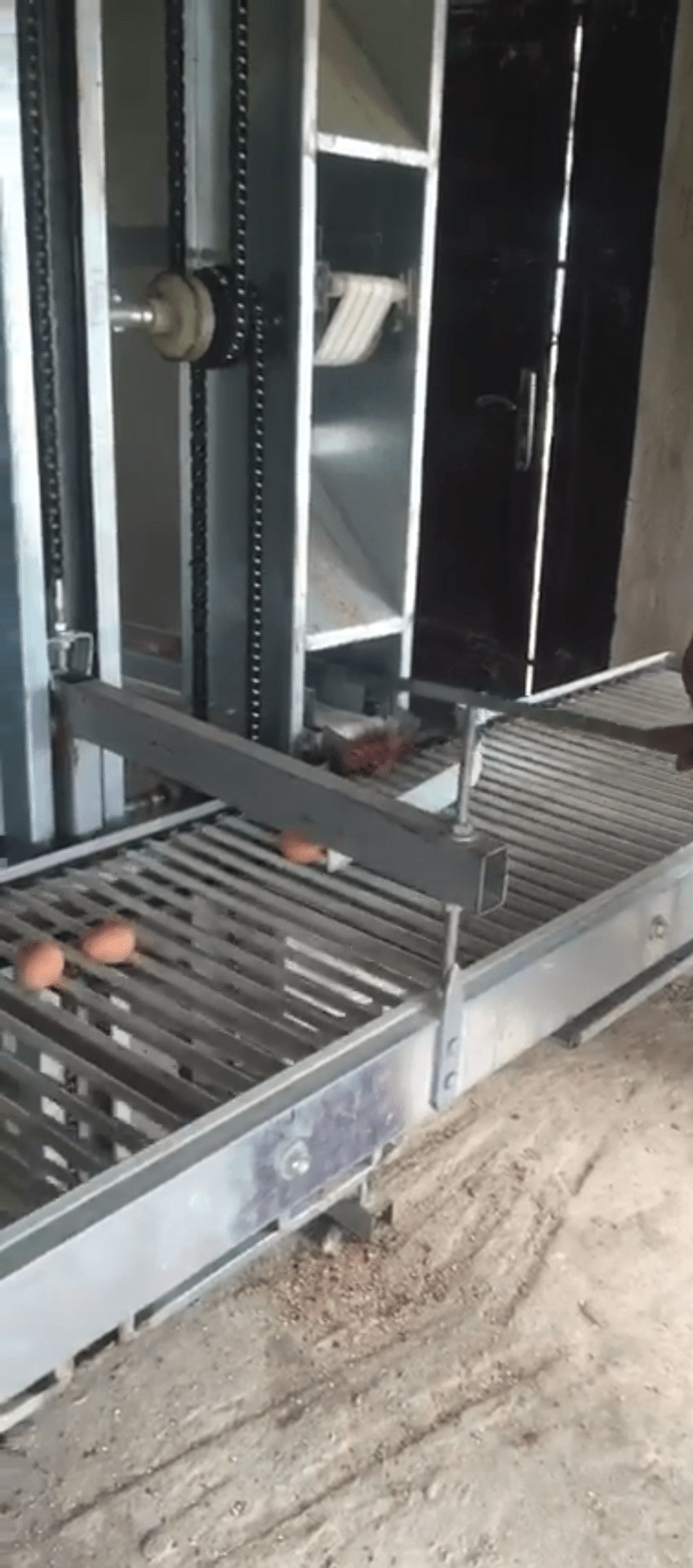 automated poultry farm